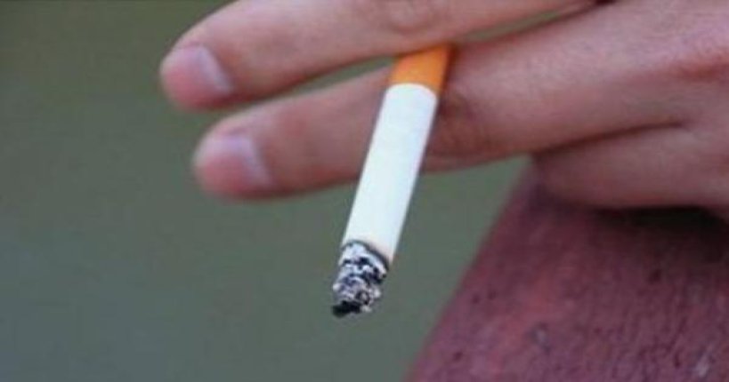 深度解析！好猫好运来云霄烟批发真相