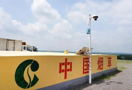 精选！黄鹤楼可喜可贺香烟货源地址一览