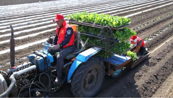 长白山(鸿运)香烟价格 长白山(鸿运)价格表图一览表 