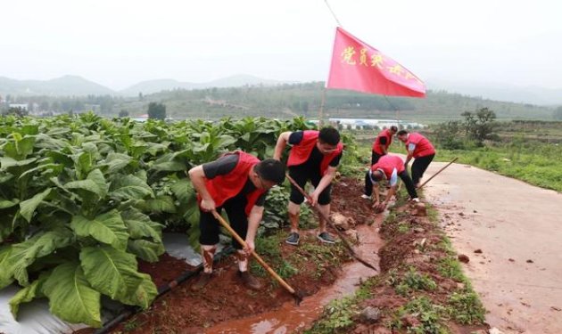 中华听50支价格表图一览表 中华听50支多少钱一包？