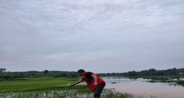 重点通报！低价外烟一手货源“人山人海”