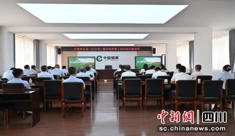 揭秘！黄金叶一代天骄云霄烟批发渠道的详细解析