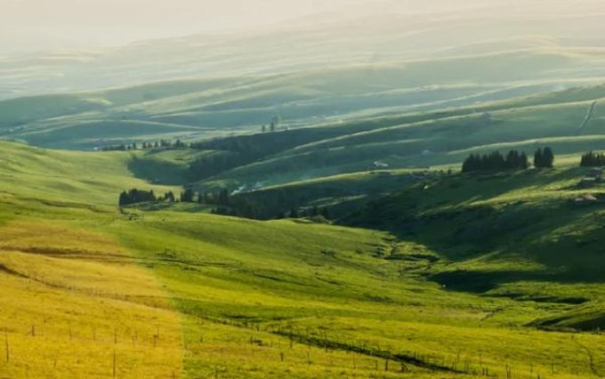 重点通报！广西越南香烟“猪突豨勇”