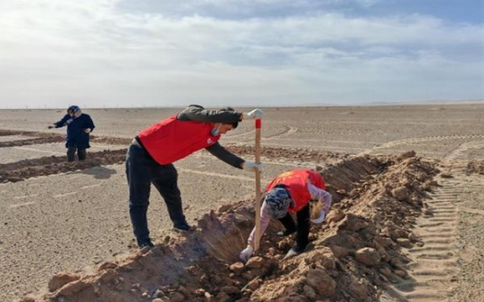 揭秘！云烟大云端中支云霄烟的进货秘密