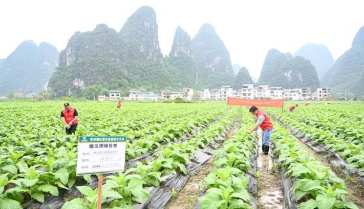 云烟七彩云南价格表图一览表 云烟七彩云南什么价格？