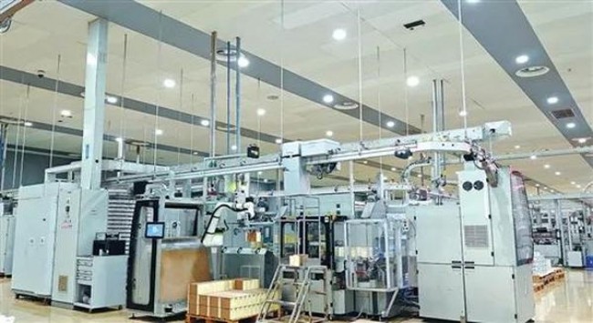 阿里山(宝相花)批发多少钱？阿里山(宝相花)什么价格？