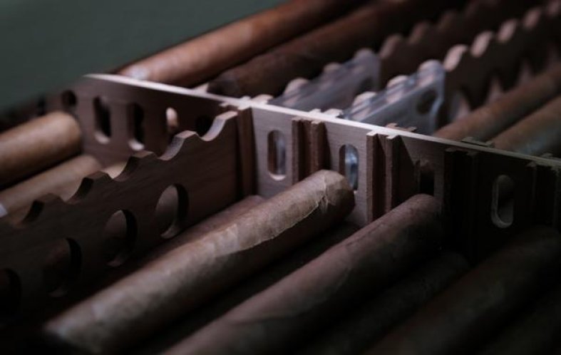 紫罗兰(绽放)多少钱一包2025？紫罗兰(绽放)价格表和图片 