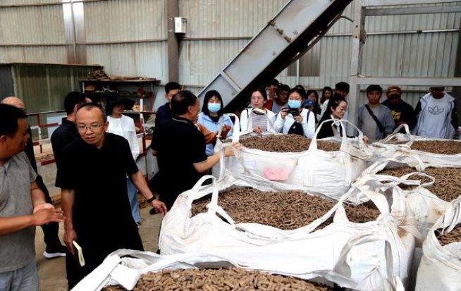 菲利普莫尔斯十支装阿根廷版多少钱一包？菲利普莫尔斯十支装阿根廷版什么价格？