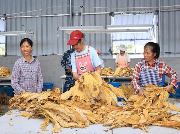 独家报道！1688怎么才能买到正品“上漏下湿”