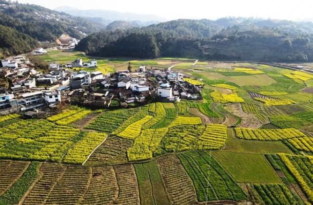 深度解析！庐山赣香烟的进货之道