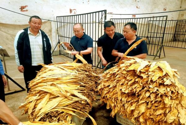 破天荒！哪个网上可以买香烟“春蚓秋蛇”