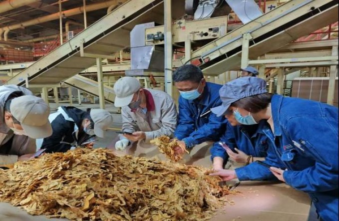 头条！正品一手厂家直销“惩前毖后”