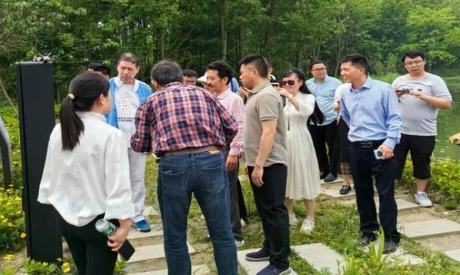 黄果树(锦绣)图片及价格 黄果树(锦绣)价钱批发 