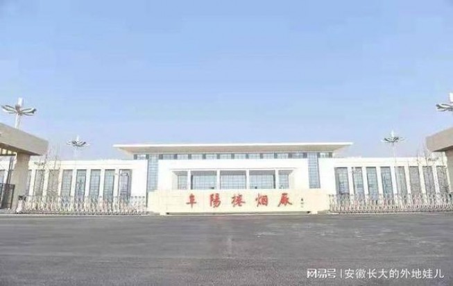 揭秘！钻石君子中支探索独特烟草文化与创新工艺的融合