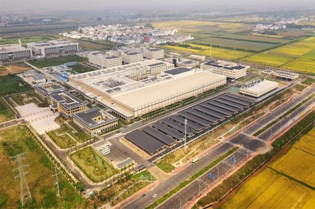 揭秘！白沙珍品新版云霄烟批发渠道的详细解析