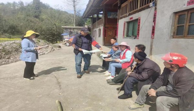 摩尔淡味美式混合型多少钱一盒2024？摩尔淡味美式混合型价钱批发 