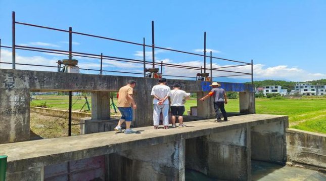 钻石(尚风可可)总仓批发，钻石(尚风可可)多少钱一包？