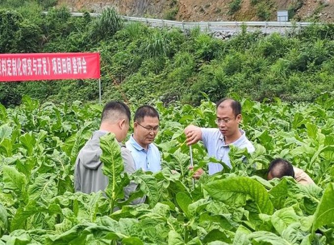 重点通报！外烟爆珠代理微信一手货源“碧血丹心”