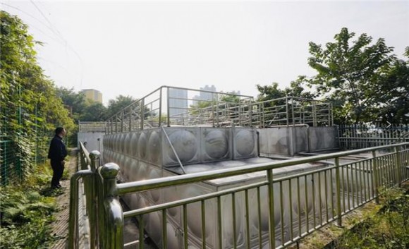 金芒果(盛世金典)多少钱一包？金芒果(盛世金典)参数详解 