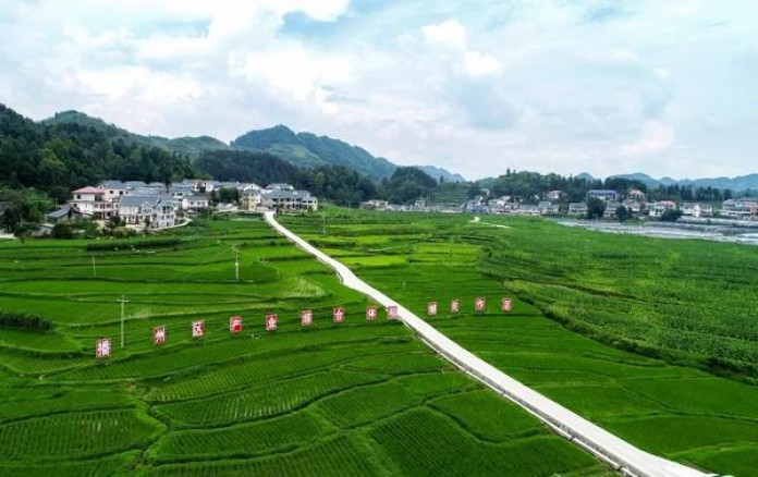 狮牌(谜你3号)多少钱一包2025？狮牌(谜你3号)价钱批发 