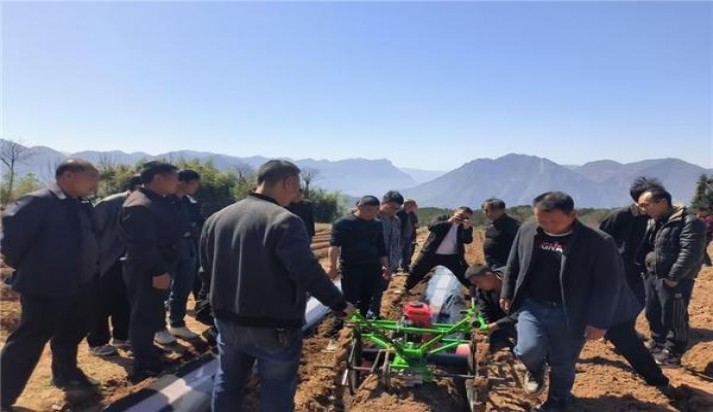 云烟(塞上好江南中支)一手货源，云烟(塞上好江南中支)价格表一览