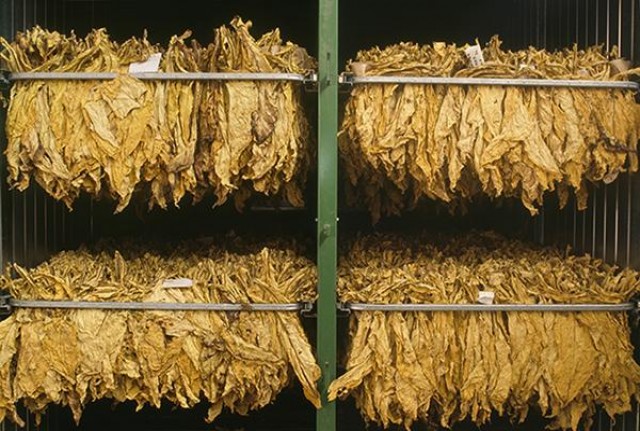 精选！宏声软烟民真实体验,一手货源深度剖析