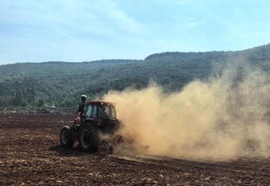 细探！苏烟甜韵烟民真实体验,一手货源深度剖析