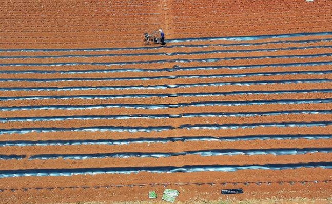 万宝路(黑绿薄荷欧盟版)价格表一览 万宝路(黑绿薄荷欧盟版)参数详解 