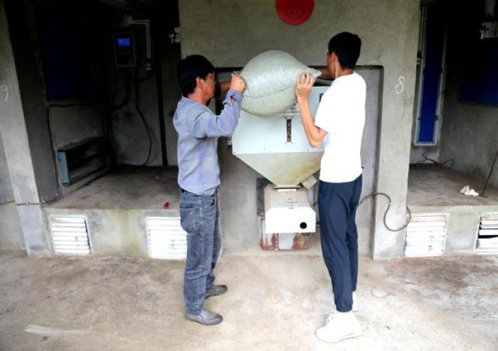 红金龙软精品多少钱一包2024？红金龙软精品多少钱一包2024？