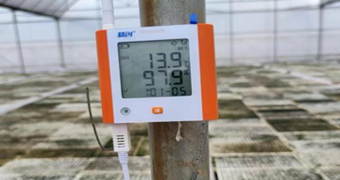 重大来袭！广东一手香烟货源厂家“得意洋洋”