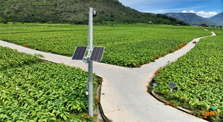 云雀(SMART PLUS 1mg19支装薄荷日版)价格表和图片 云雀(SMART PLUS 1mg19支装薄荷日版)参数详解 