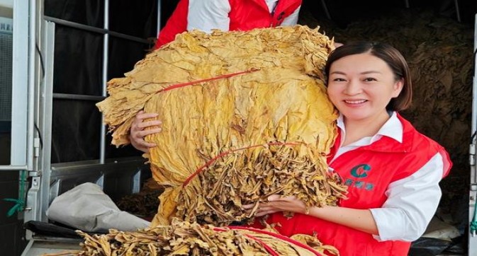芙蓉王(荣耀中支)香烟价格 芙蓉王(荣耀中支)价格表和图片 