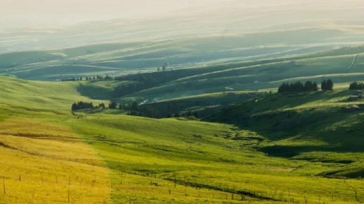 惊现！免税正品外烟一手货源代购网“泰山压顶”