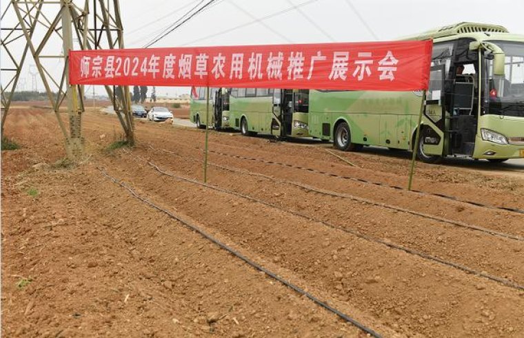 最新头条！正规网购香烟.上海一位父亲“包罗万象”