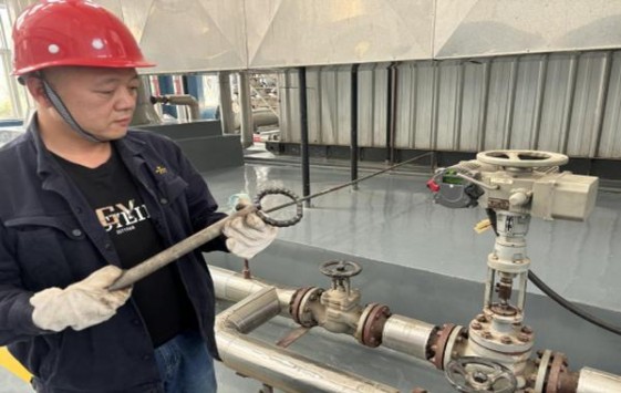 骆驼(硬绿薄荷5mg日税版)参数详解 骆驼(硬绿薄荷5mg日税版)价格表一览 