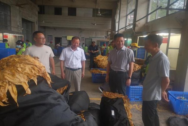 新消息！广东越南香烟价格表图“官运亨通”