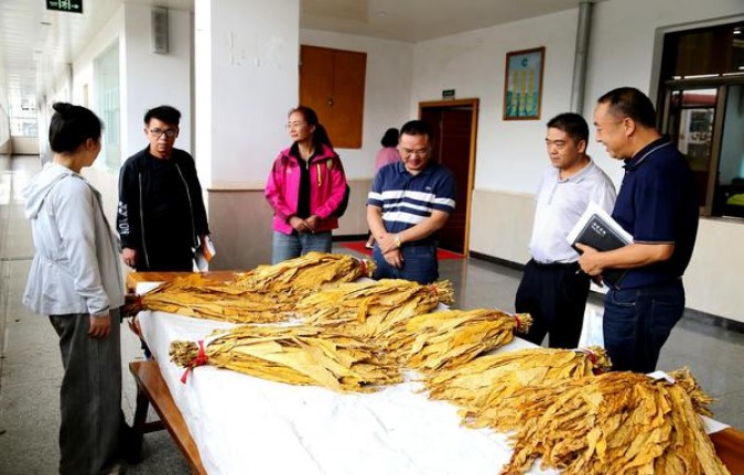 终于发现！广西越南真正代工烟“龙凤呈祥”