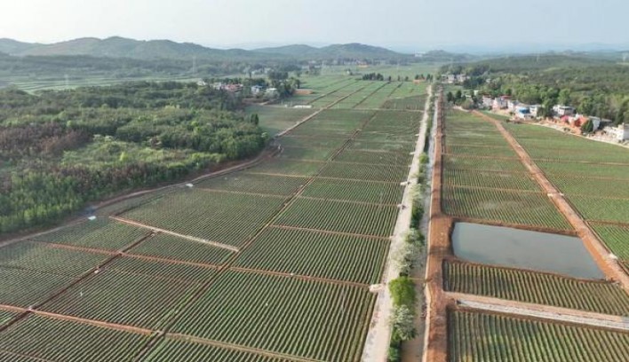 爱喜(EDGE尼日利亚版)价格表一览 爱喜(EDGE尼日利亚版)图片及价格查询