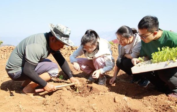 长城导师2号价格表一览 长城导师2号香烟价格表2024 