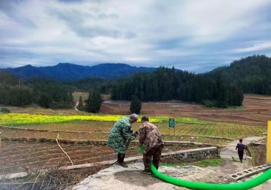 DJ Mix(陈皮爆珠日版)图片及价格 DJ Mix(陈皮爆珠日版)价钱批发 