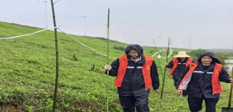 中南海(典5)价格表和图片 中南海(典5)价格表一览 