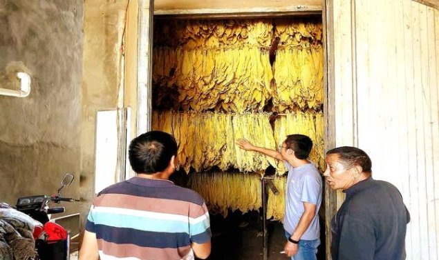 深度解析！龙凤呈祥盛世香烟货源地址一览