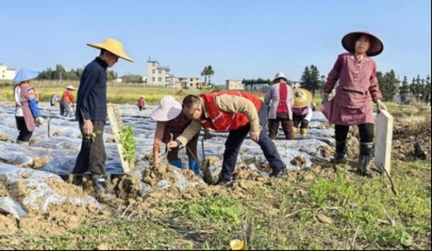 RAISON(sun presso)香烟价格 RAISON(sun presso)多少钱一盒？