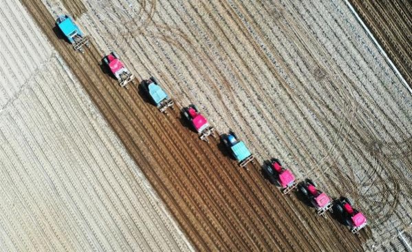 新港(黑绿美税100S)批发，新港(黑绿美税100S)批发价格是多少？