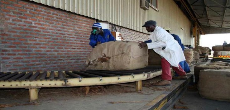 金圣(时代15)一手货源，金圣(时代15)价钱批发