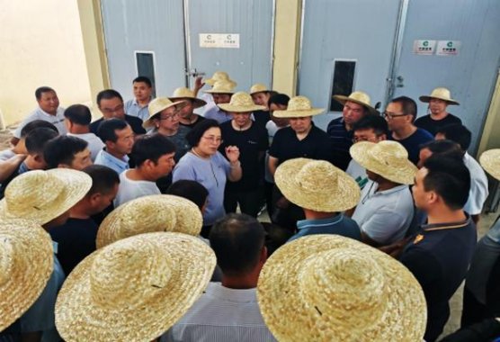 太阳岛铁盒香烟价格表2024 太阳岛铁盒多少钱一包？