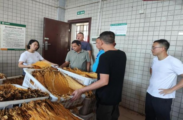 王冠(茶马古道)价格查询 王冠(茶马古道)香烟正品价格表 