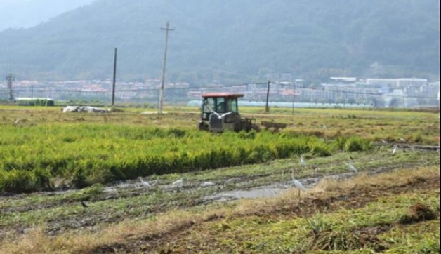 头条！香烟一手货源直销批发“实事求是”