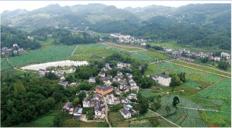 云烟(细支小重九)香烟价格表2025 云烟(细支小重九)图片及价格 