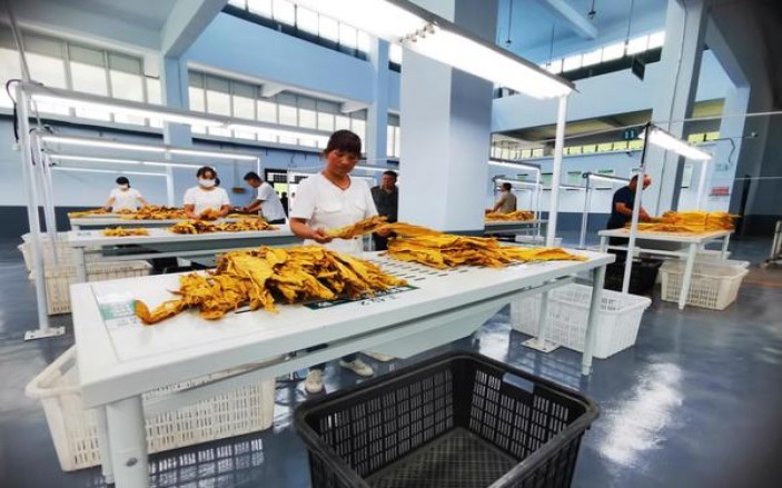 驰(精品软)价格查询 驰(精品软)香烟价格表2025 